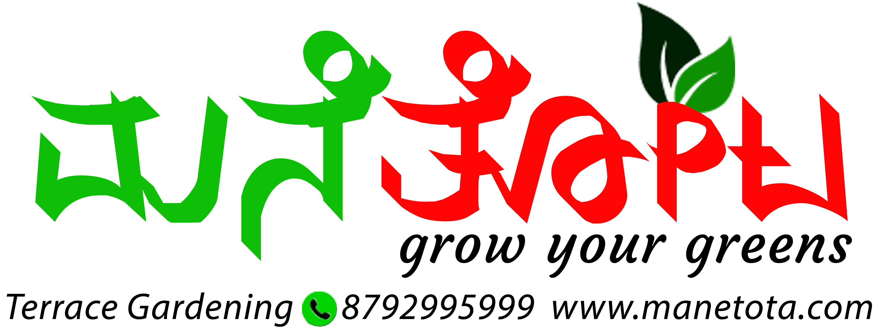 Mane Tota